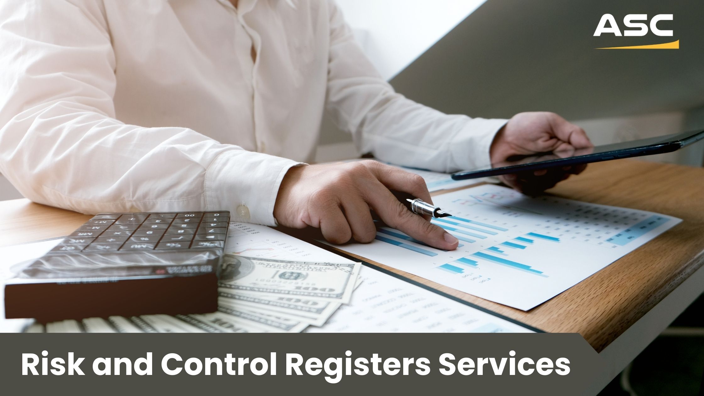 Risk and Control Registers Consulting